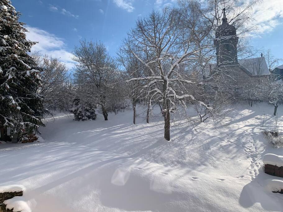 Ancienne Ferme Comtoise 4 Etoiles, 11 Personnes Lac St-Point/Mont D'Or Montperreux 外观 照片